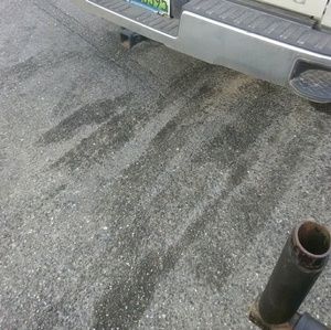 Meet your Posher, Queen